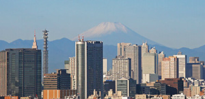 Mount Fuji Japan 300 by 145