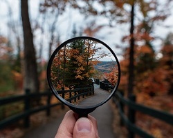 Magnifying Glass in Forest