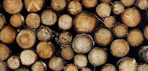 Logs piled up