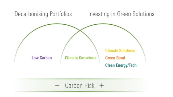 comparing carbon climate funds