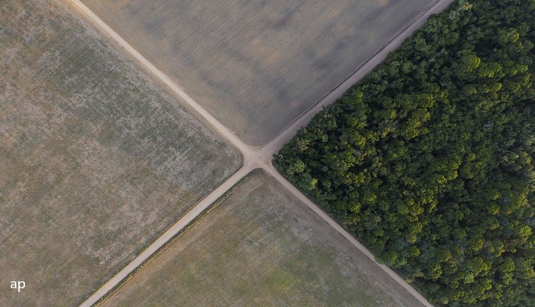 Biodiversit&agrave;