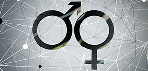 Gender diversity 300 by 145