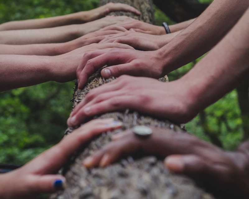 Diverse group of hands on log