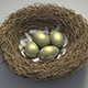 Nest egg thumbnail
