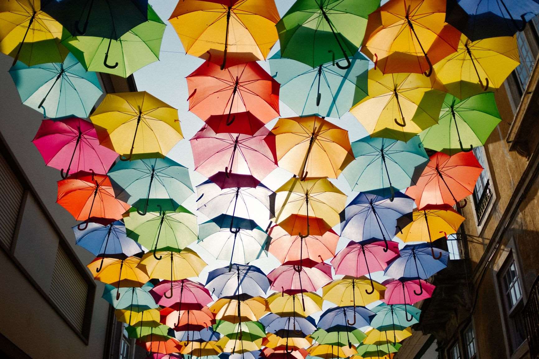 Umbrellas hanging over street