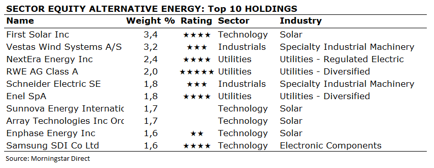 Top 10 Holdings Energía Alternativa