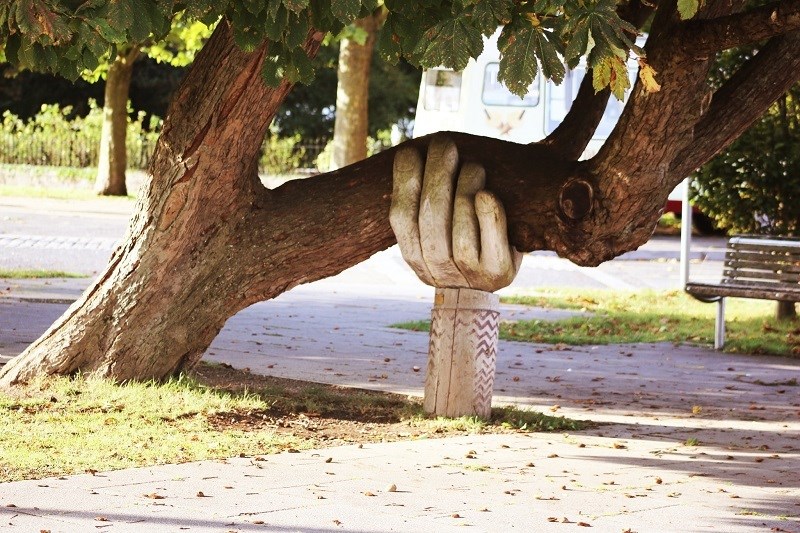 Tree supported by statue