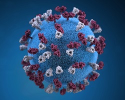 Virus small 2