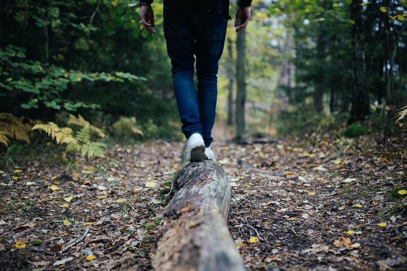 Person walking and balancing on log in forest