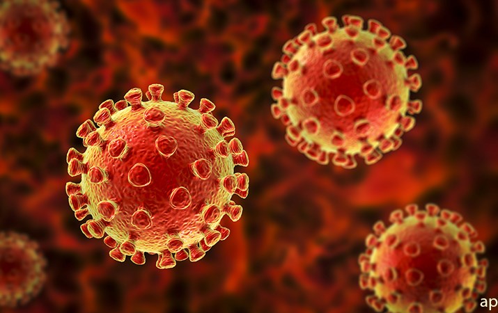 Coronavirus 2020 scientific article