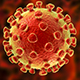 Coronavirus Controversies Climbing