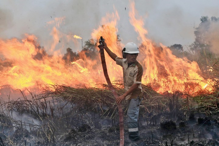 Firefighter in front of wildfire