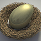 Golden nest egg thumbnail
