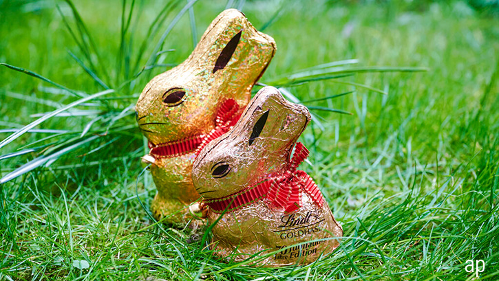 Lindt chocolate bunnies in grass