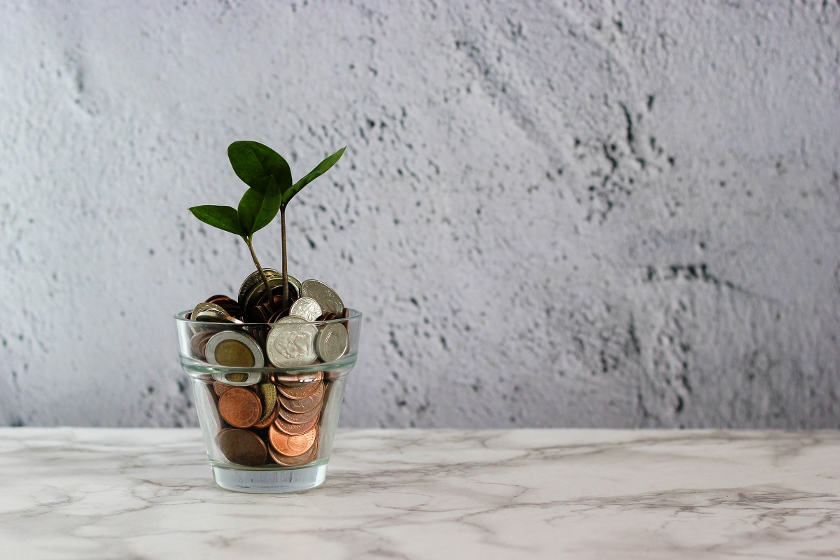 Jar of coins with plant growing in it